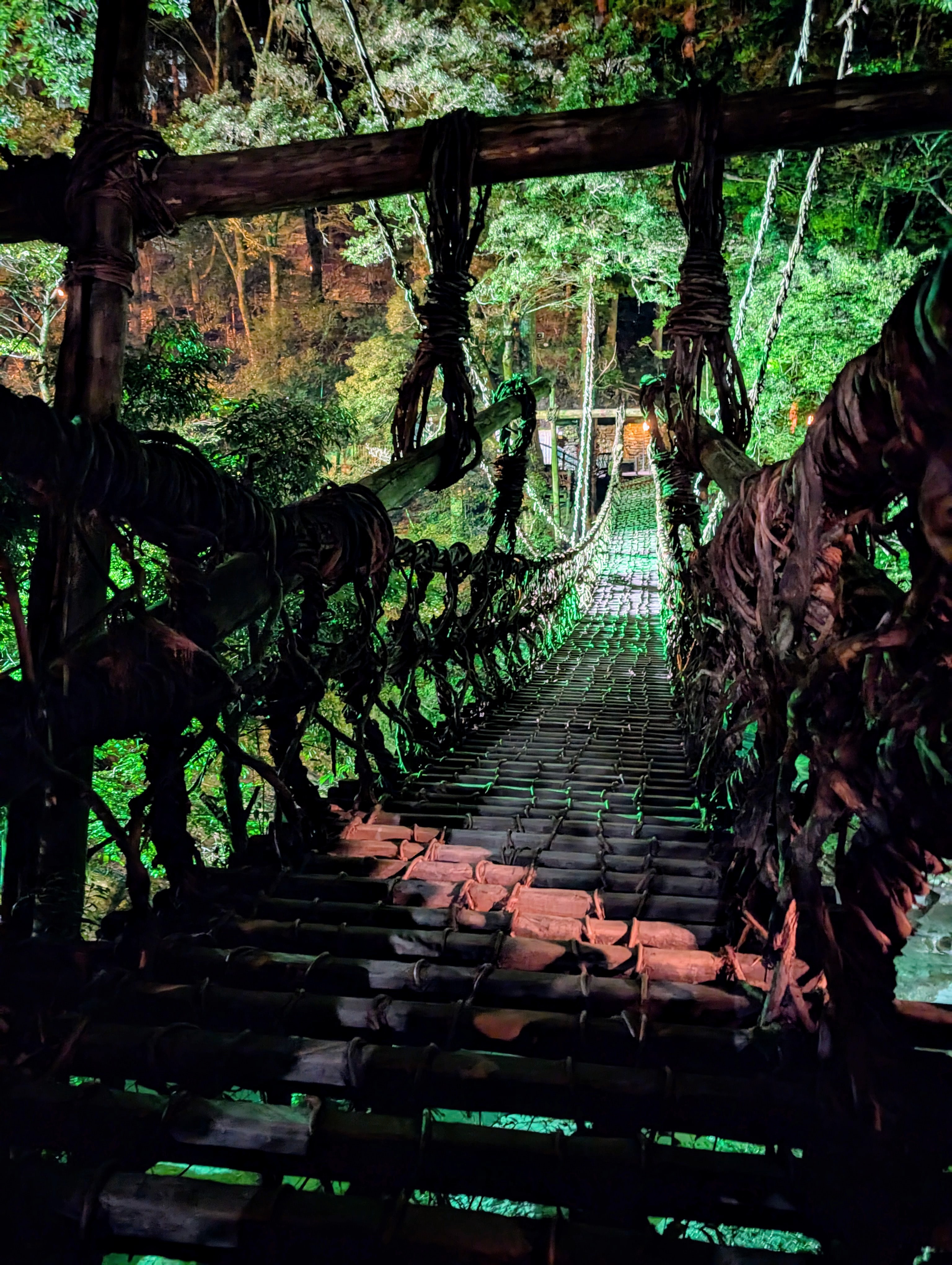 Kazurabashi Vine Bridge